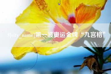 河池第一波奥运金牌“九宫格”