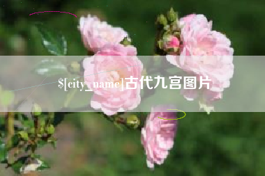 河池古代九宫图片