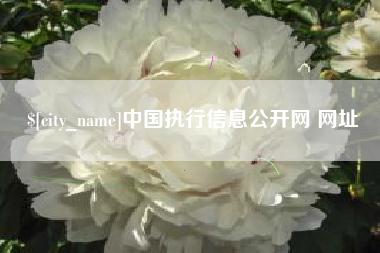 河池中国执行信息公开网 网址
