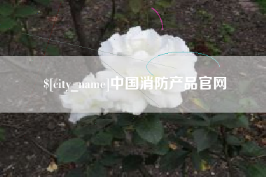 河池中国消防产品官网