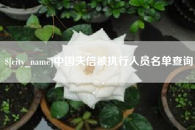 河池中国失信被执行人员名单查询
