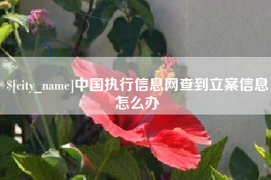 河池中国执行信息网查到立案信息怎么办
