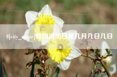 河池我国消防日是几月几日几日