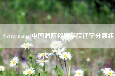 河池中国消防救援学院辽宁分数线