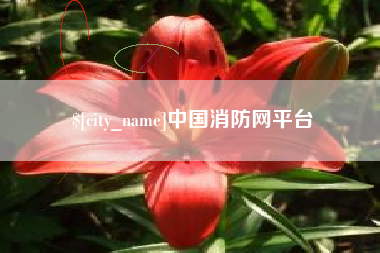 河池中国消防网平台