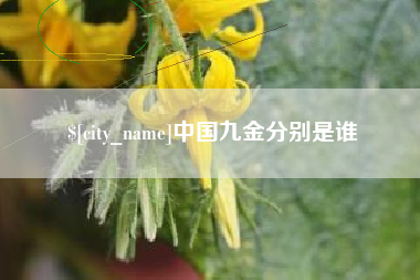 河池中国九金分别是谁
