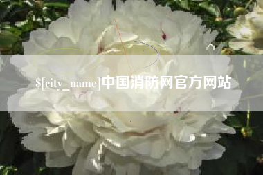河池中国消防网官方网站