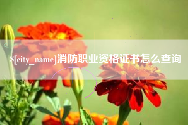 河池消防职业资格证书怎么查询