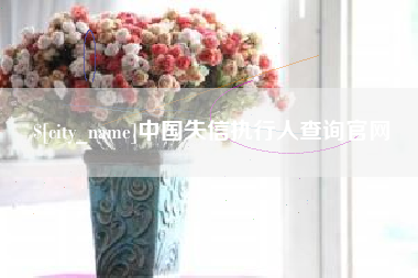 河池中国失信执行人查询官网