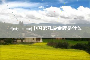 河池中国第九块金牌是什么