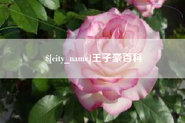 河池王子豪百科
