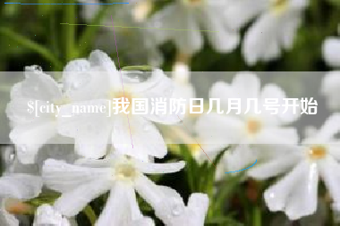 河池我国消防日几月几号开始
