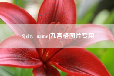 河池九宫格图片专用