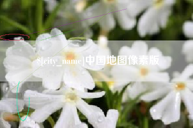 河池中国地图像素版