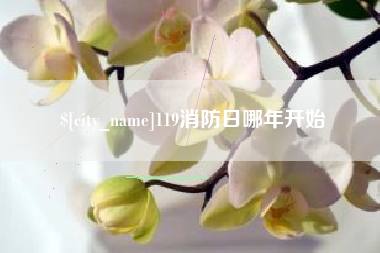 河池119消防日哪年开始
