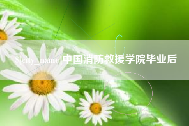 河池中国消防救援学院毕业后