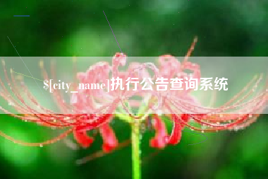 河池执行公告查询系统