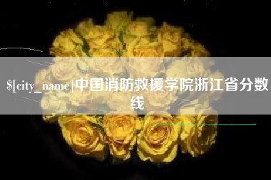河池中国消防救援学院浙江省分数线