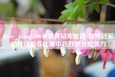 河池5000米世界冠军配速-世界冠军们往往能在比赛中巧妙地分配体力