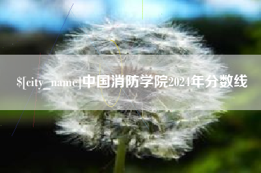 河池中国消防学院2024年分数线