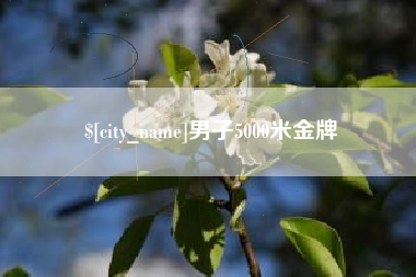 河池男子5000米金牌