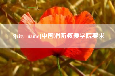 河池中国消防救援学院要求