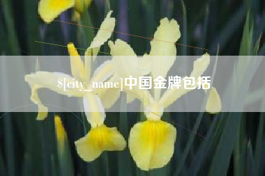 河池中国金牌包括