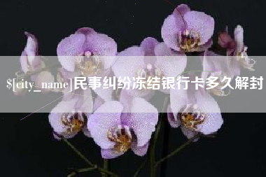 河池民事纠纷冻结银行卡多久解封
