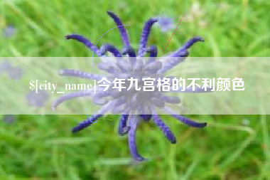 河池今年九宫格的不利颜色