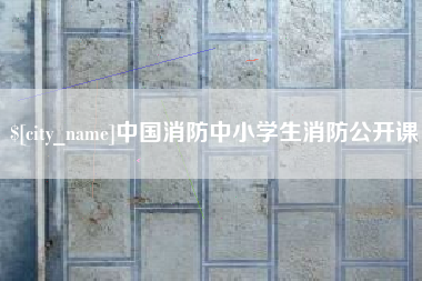 河池中国消防中小学生消防公开课