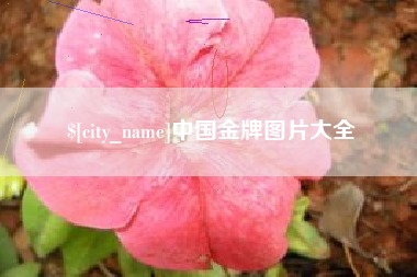 河池中国金牌图片大全