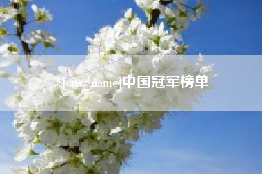 河池中国冠军榜单