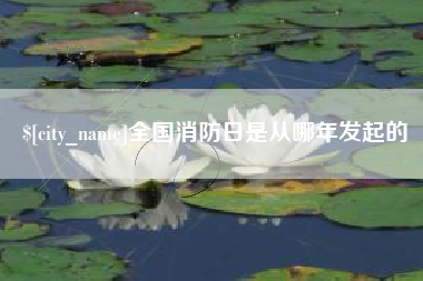 河池全国消防日是从哪年发起的