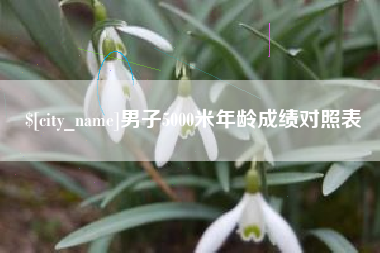 河池男子5000米年龄成绩对照表