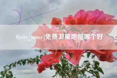 河池免费卫星地图哪个好