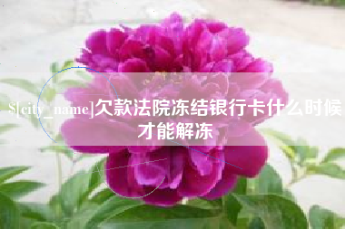 河池欠款法院冻结银行卡什么时候才能解冻