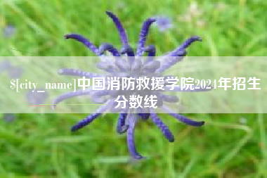 河池中国消防救援学院2024年招生分数线