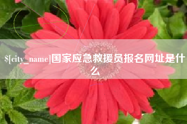 河池国家应急救援员报名网址是什么