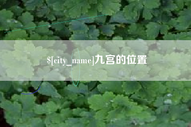 河池九宫的位置