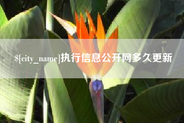 河池执行信息公开网多久更新