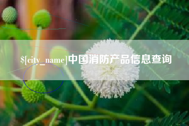 河池中国消防产品信息查询