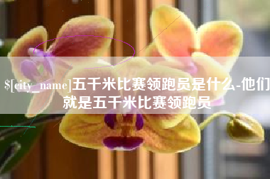 河池五千米比赛领跑员是什么-他们就是五千米比赛领跑员