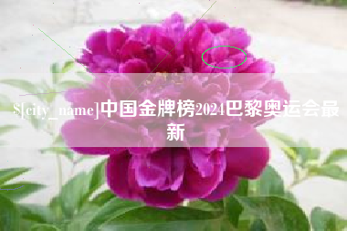 河池中国金牌榜2024巴黎奥运会最新