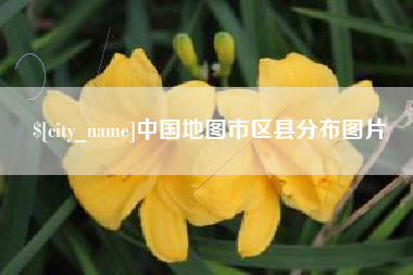 河池中国地图市区县分布图片