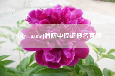 河池消防中控证报名官网
