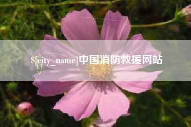 河池中国消防救援网站