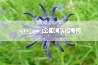 河池全国消防招考网