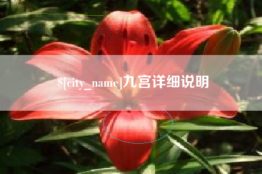 河池九宫详细说明