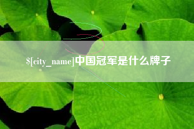 河池中国冠军是什么牌子