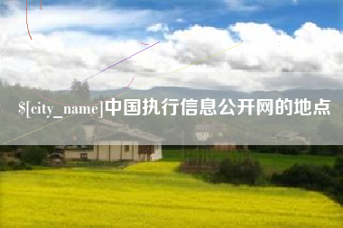 河池中国执行信息公开网的地点
